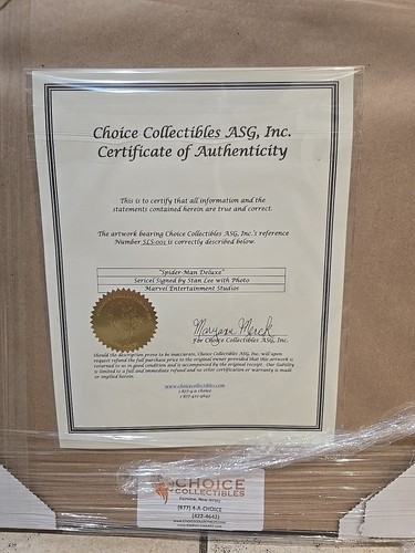 Spiderman Deluxe Sericel firmato da Stan Lee con certificato, NUOVO, incorniciato - Foto 6 di 7