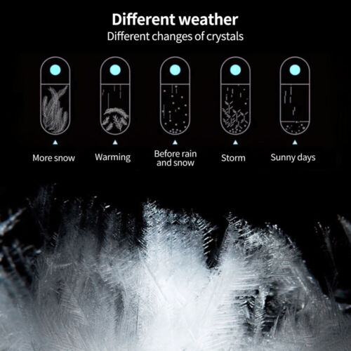 Storm Glass Weather Station Weather Predictor Forecaster Bottle with Wood Base - Picture 6 of 18