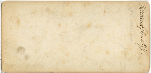 NEW YORK, Havana Glen--Stereoview L2 - 第 3/4 張圖片