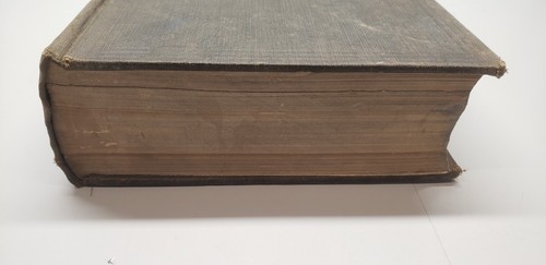 Geological Survey of Ohio, Zoology and Botany Vol 4, Published 1882 - Picture 4 of 7