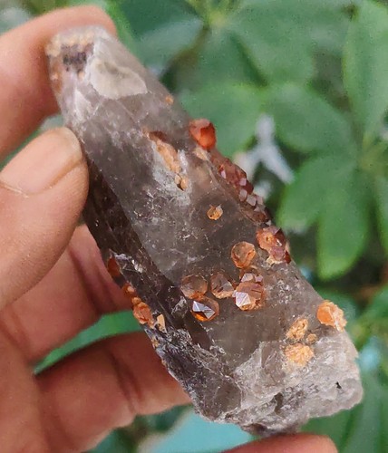 Granate espesartina brillante natural 122 g sobre cuarzo ahumado Yunxiao Fujian China 1 - Imagen 12 de 18