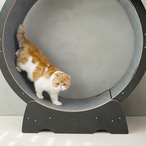 41" Large Cat Exercise Wheel Wooden Cat Treadmill Running Wheel Cat Sport Toy - 第 33/37 張圖片