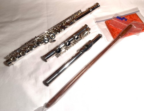 EF Dean-Step Up or Intermediate Flute for Advancing Student-Silver Head-NOS-NICE - Zdjęcie 3 z 11