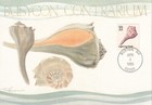 Picture 3 of 10