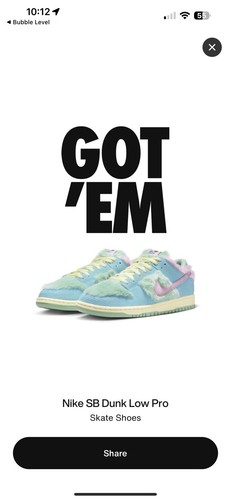 Size 10.5 - Nike Verdy x Dunk SB Low Visty