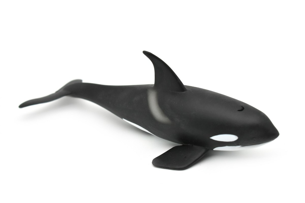 Orca, Killer Whale, Museum Quality Plastic Replica 8