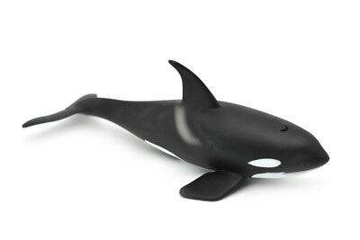 Orca, Killer Whale, Museum Quality Plastic Replica 8