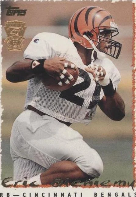 Carolina Panthers Inaugural Season