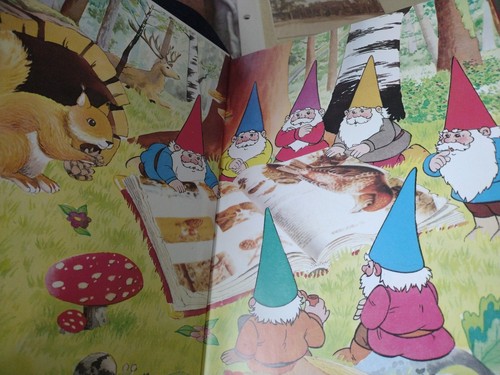 The World of David the Gnome German Text Book 📚 Hardback Very Good. - Picture 3 of 14