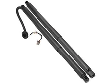 Tailgate Strut Set For 2015-2019 Cadillac Escalade 2017 2016 2018 GR631FV