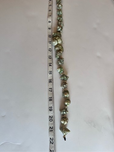 Turban turbo shell green vintage unique chunky necklace 11 in long - Picture 5 of 6