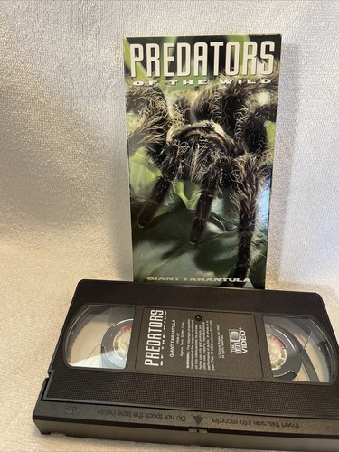 Predators of the Wild Giant Tarantula VHS, 1993 Time Life Video - Picture 3 of 3
