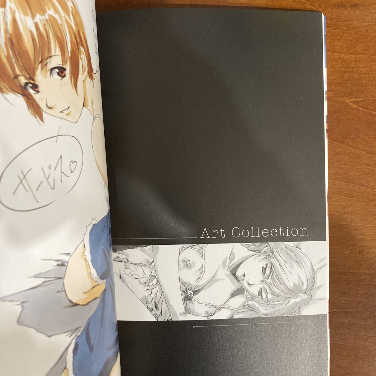 Colors: 堀部秀郎art works2 (JIVE FAN BOOK SE Colors: 堀部秀郎art works2 (JIVE FAN BOOK SE Amazon.co.jp