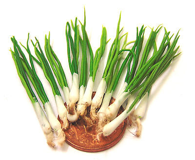 1:12 Scale 4 Large Untrimmed Spring Onions Tumdee Dolls House Kitchen Accessory