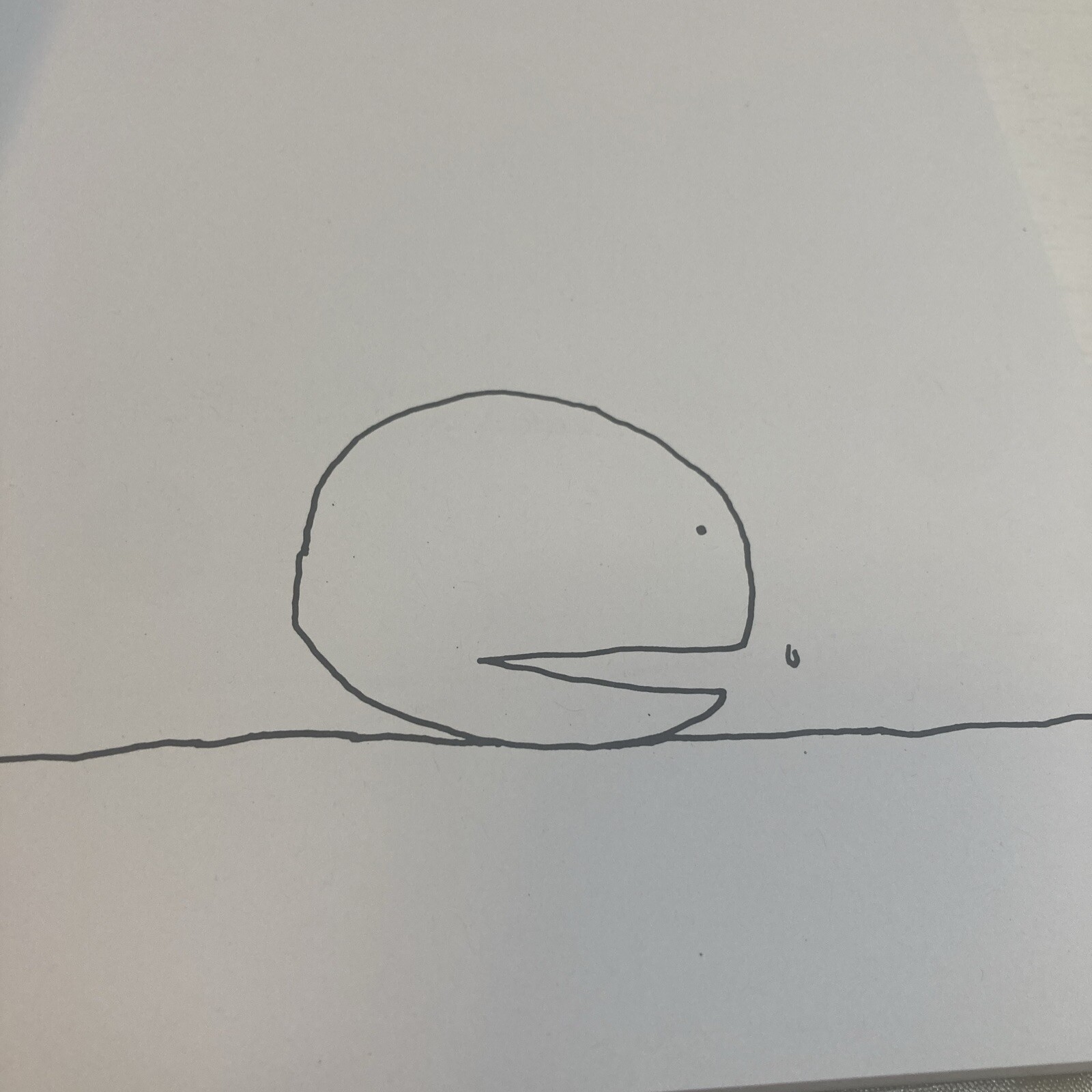 Picture 6 of 8