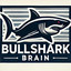 Bull.Shark.Brain