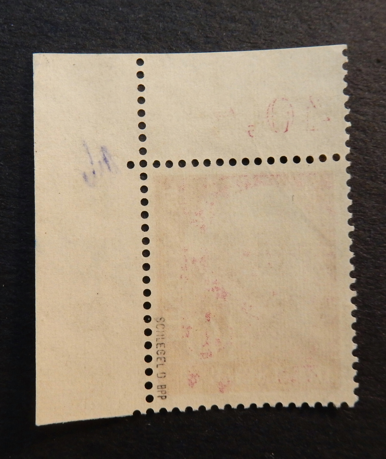 Bild 2 von 2