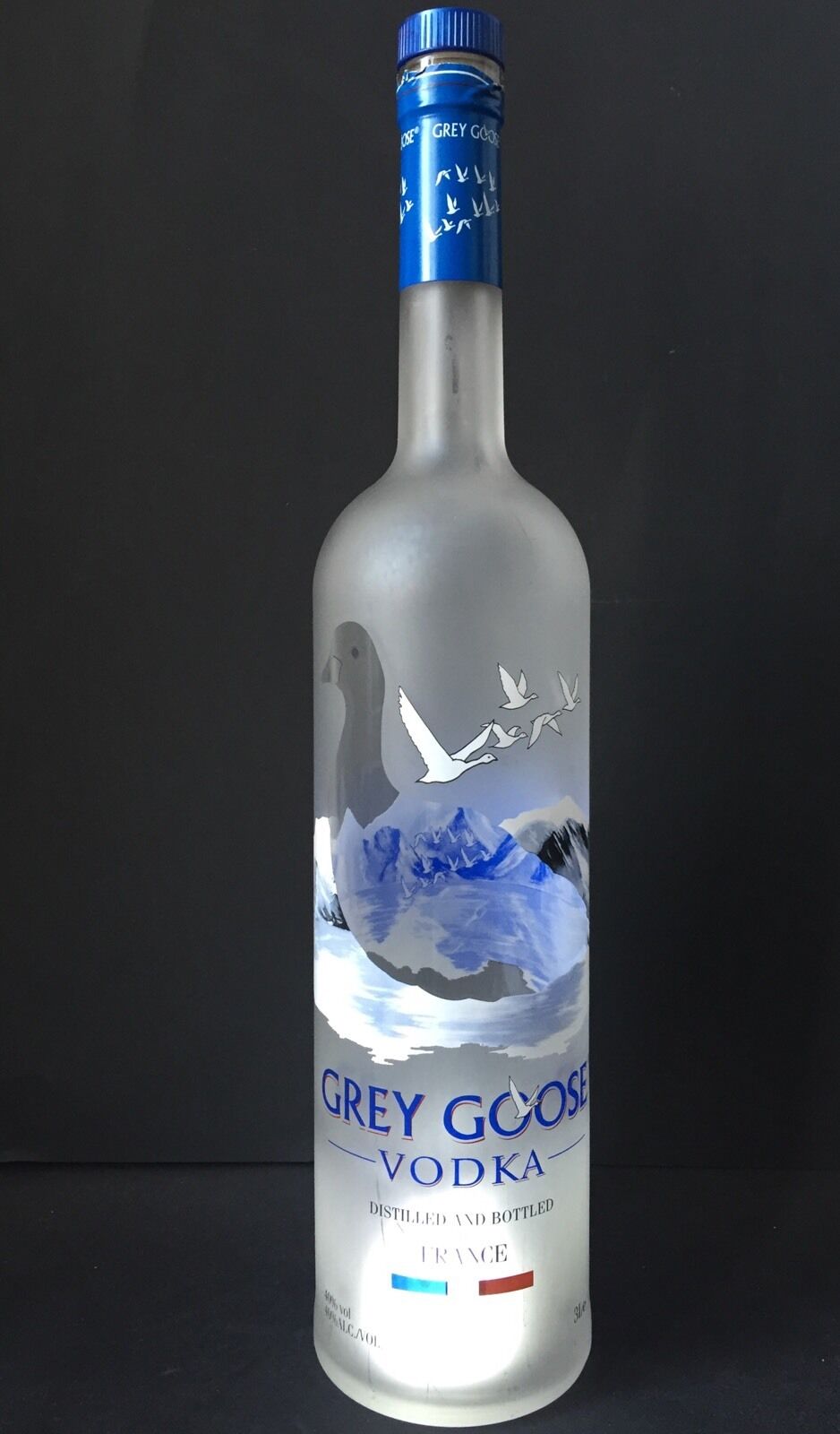 Grey Goose Vodka 3 L LED ohne Korken Flasche leer deko Shisha Spardose  hookah