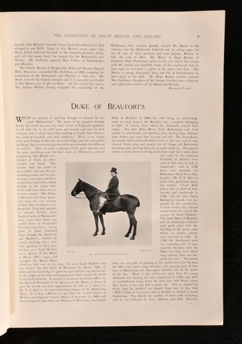 1906 The Foxhounds of Great Britain and Ireland Illus Colour Plates 1st - Foto 6 di 9