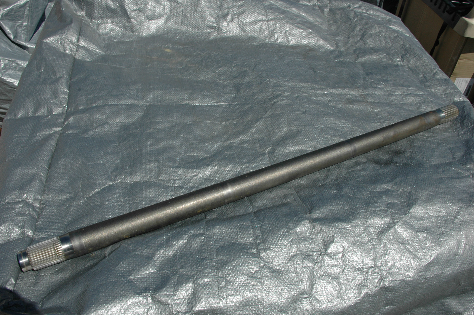 Picture 1 of 1
