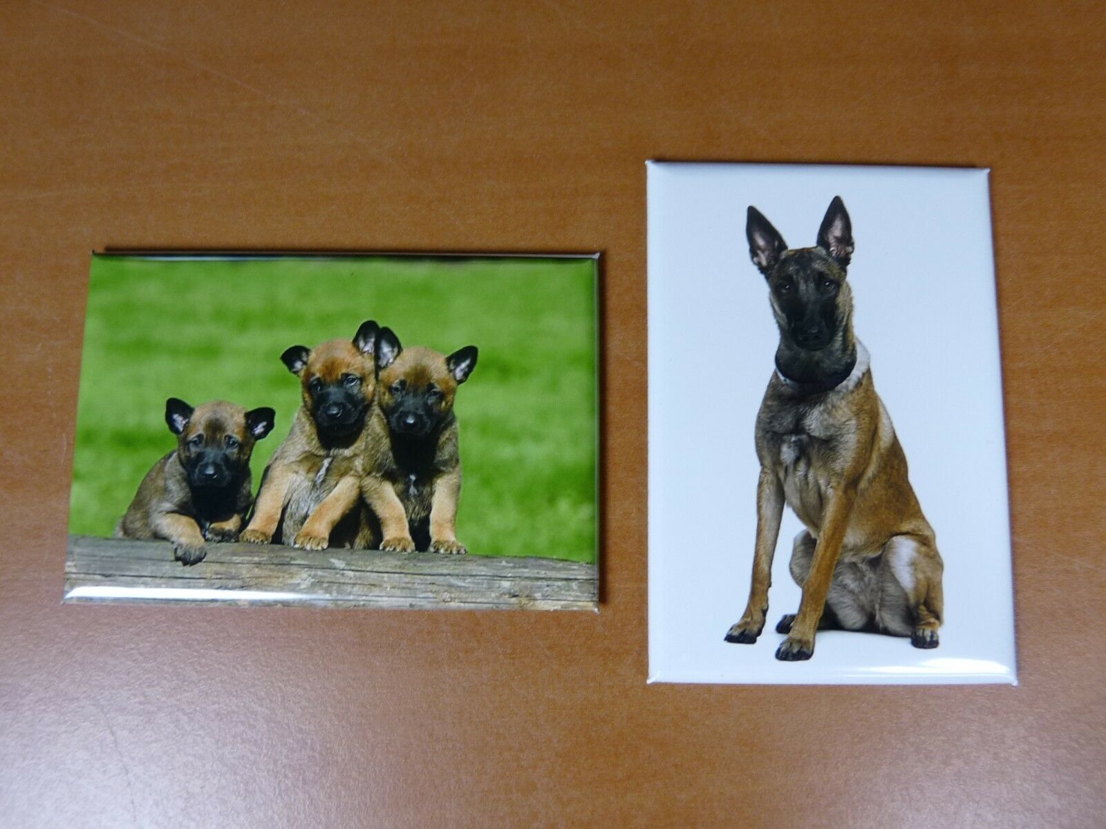 Bild 1 von 1