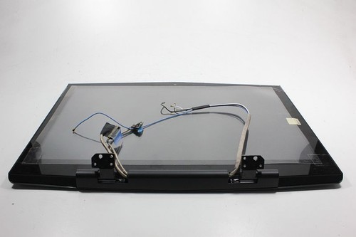 Dell Alienware M17X P01E 17" LCD Screen Panel LTN170CT11 0R610K R610K