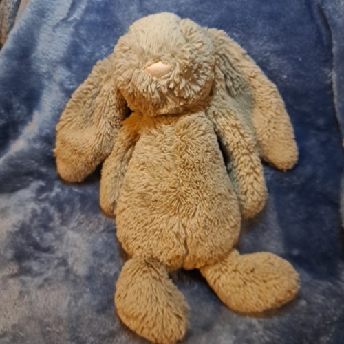 Jellycat Cat Bashful Bunny 12" Taupe