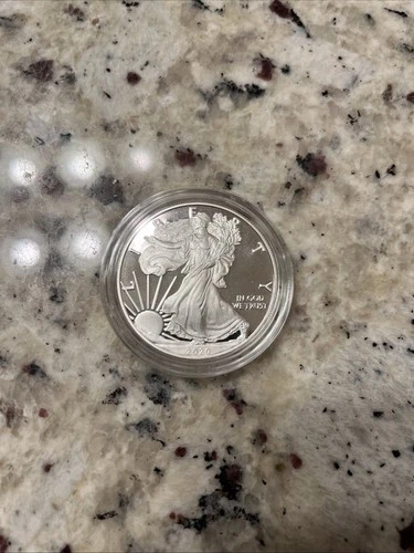 2020 American Silver Eagle  1 ounce .999 Fine Silver Uncirculated in case