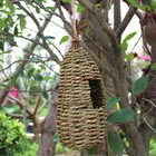 Foto 9 di 12