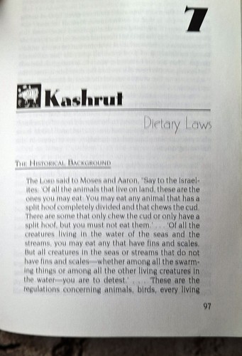 Gottes ernannte Bräuche - ein messianisch-jüdischer Führer zum biblischen Lebensstil Kasdan - Bild 12 von 15