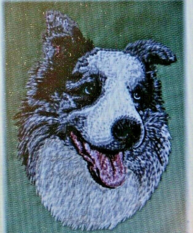 Dog top bathroom towels
