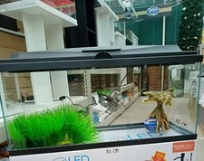 ** BRAND NEW ** LARGE Fish Tank Aquarium Complete Setup Heater Filter Led & More