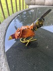 Picture 1 of 7