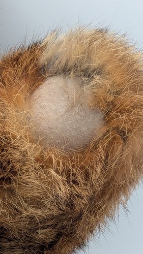 Fully Jointed Hand Made from Vtg Genuine Mink Fur Coat Bear Mountain Teddy Bear - Picture 15 of 15