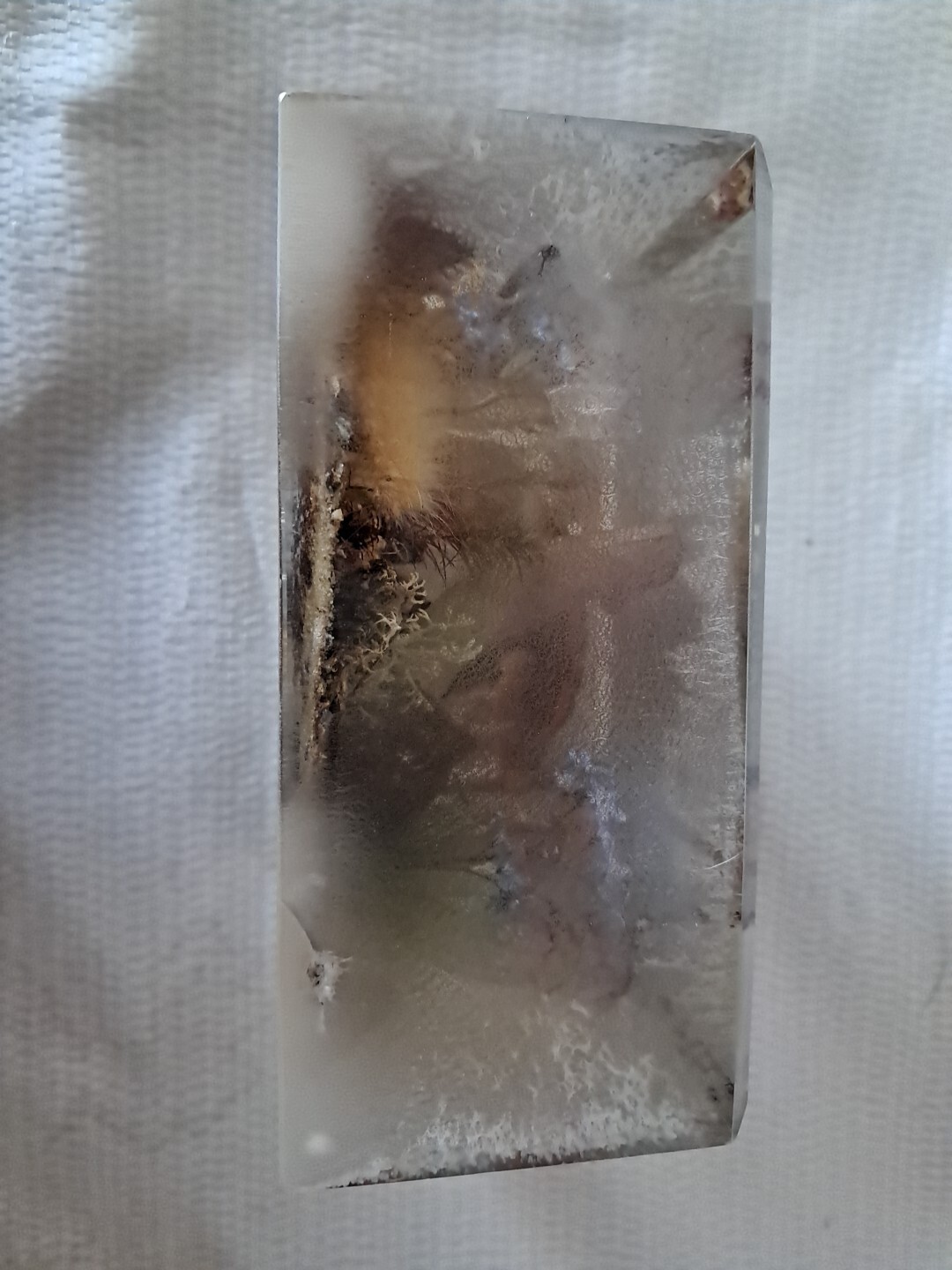 Picture 4 of 12