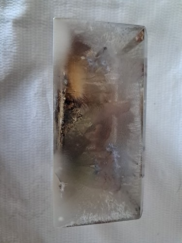 Lucite Paperweight W Rolfe Signed Limited Edition #99: 1974 Dragonfly Butterfly - Picture 4 of 12