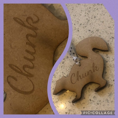 sign plaque sign tag Mouse Mice Small Animal Pet owner crazy Lover personalised - Picture 8 of 10
