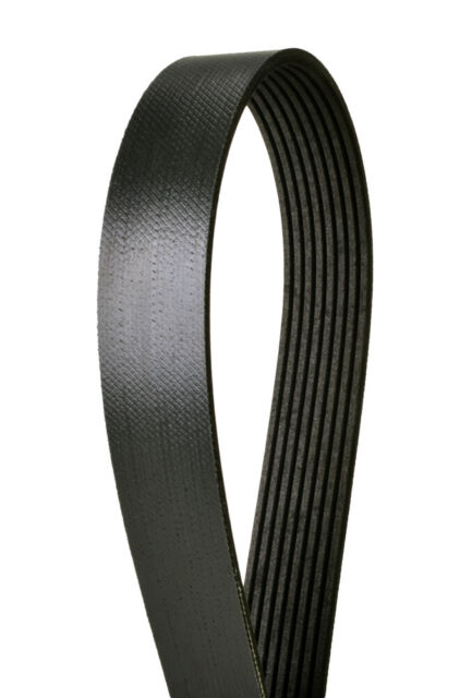Continental 4070415 OE Technology Series Multi-V Belt Continental ContiTech