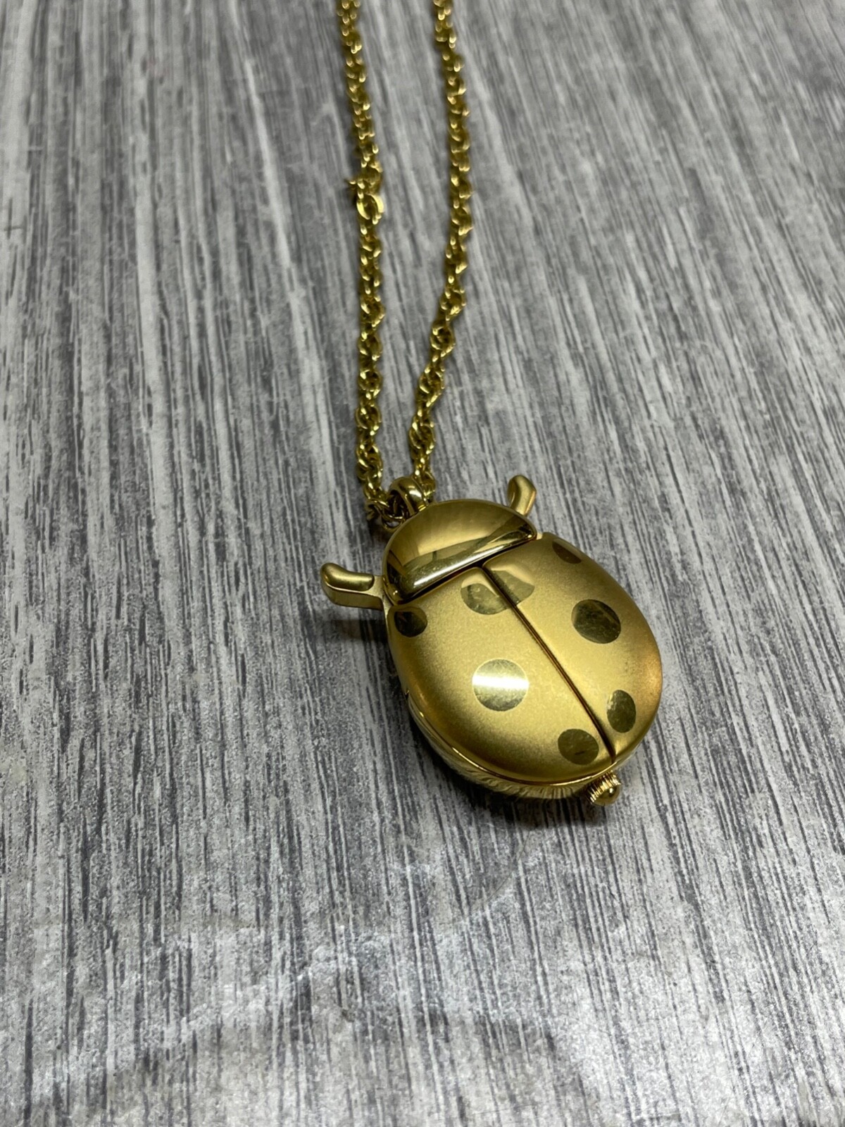 Picture 4 of 13