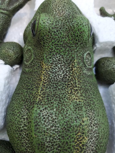 Floating Frog Garden Pond Decoration Vintage Jointed Wood 12" - Picture 5 of 14