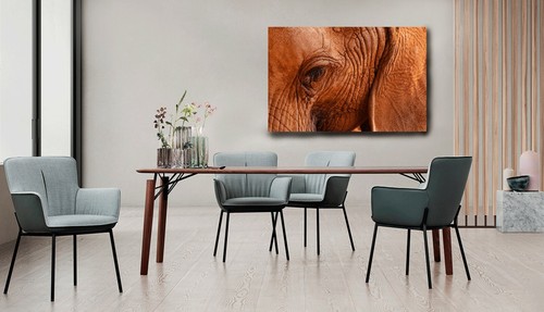 Fotografie Namibia, Elefant # 9092, Fotoabzug matt, 60 x 40 cm - Bild 4 von 7
