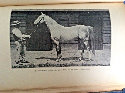 P. Fournier and E. Curot, Le Pur Sang; Thoroughbred Horses; Equestrian; Racing - Picture 4 of 11