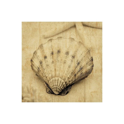 Impresión En Lienzo En Papel Póster O Cuadro Seba John Scallop - Imagen 1 de 2