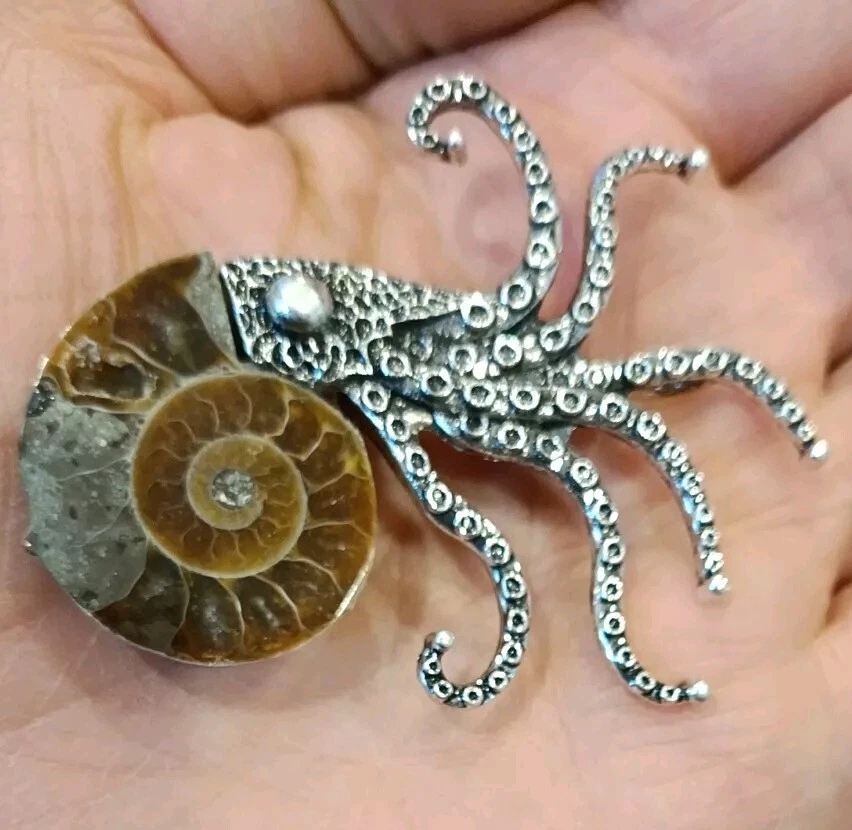 The Kraken Brooch Real Ammonite Fossil Octopus Pin Necklace Pendant Jewellery Foto 4 de 4