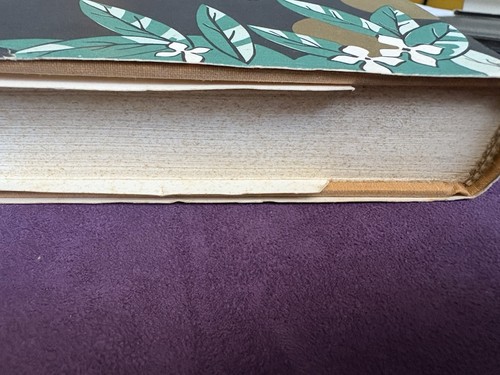 Golden Apples by Marjorie Kinnan Rawlings HC DJ 1988 Reprint - Bild 11 von 14