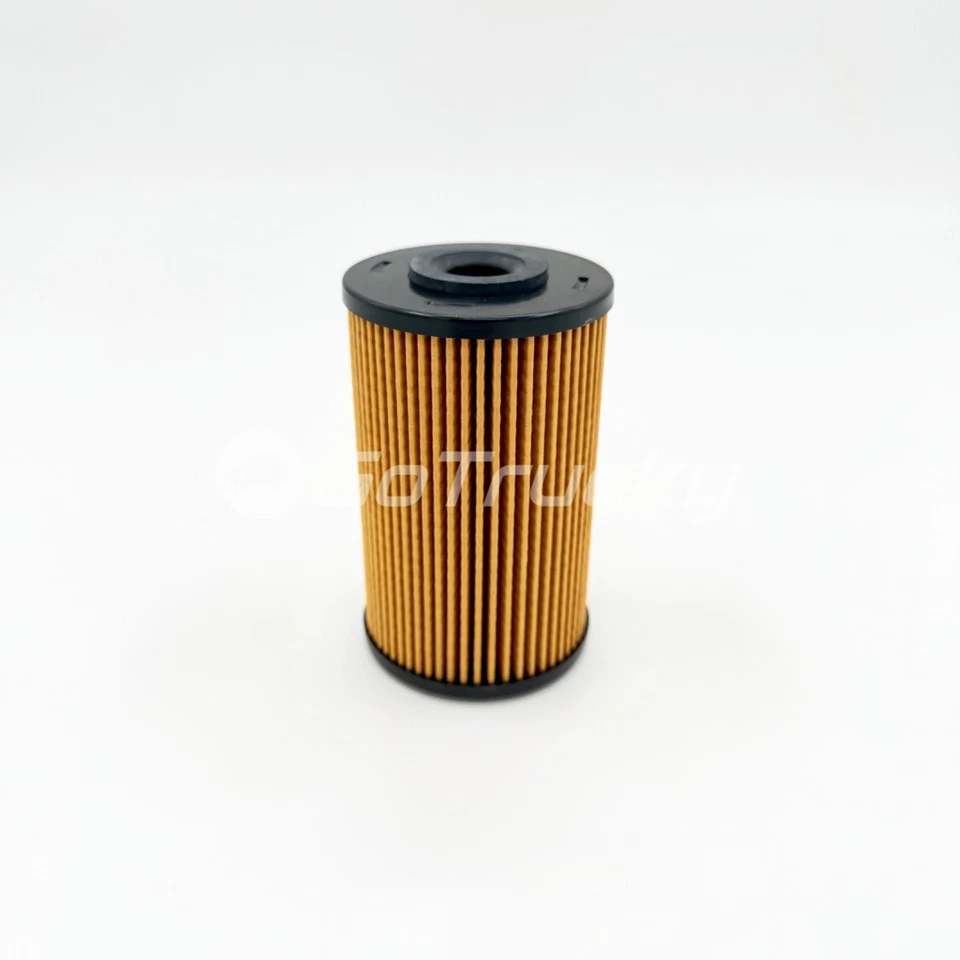 2x Kit de Elemento de Filtro de Combustível para Isuzu NPR NQR NPR-HD 4HK1 5.2L 10-25 - Imagem 4 de 4