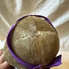 Picture 12 of 12