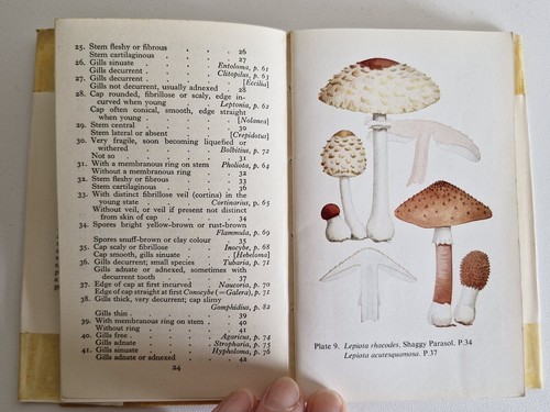The Observer's Book Of Common Fungi By E. M. Wakefield, 1954, 1st edition - Picture 9 of 18