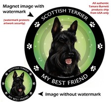 Scottish Terrier My Best Friend Dog Car Magnet