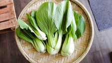 Bok Choy - 500 Seeds 2025 - USA